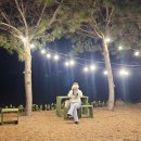 당나루물꽃마을 이미지