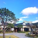 노란우체통 | 인천 대공원 부모님 모시고 갈만한 카페 노란 우체통 방문 후기