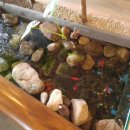 정성면가 이미지