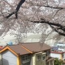 신평동1080 이미지