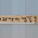 나무이야기 협동조합 이미지