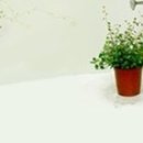 스마트폰사진인화 - 광주시 경안로25번길 14 | 스마트폰사진인화