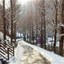 다리안관광지 이미지