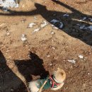 부평공원 이미지