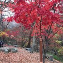 지티행정사사무소 이미지