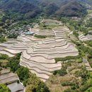 사포마을 이미지