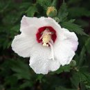 월산농장 이미지