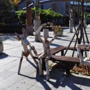 강원도자연환경연구공원 이미지