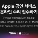 브라운테팔매장 이미지