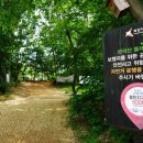 노작공원(오산천변) 이미지