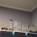 팀와이에프 이미지