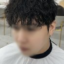아라헤어 이미지