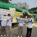 위드프리 Daum카페