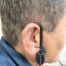 오정프라자 | 오정구 보청기 지원사업으로 서울덴마크보청기 부천 중동 센터에서 양이 구매