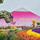 153뷰티
