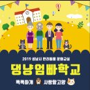 판교종합 동물병원 이미지