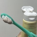 용산 건강식품 영양제 저렴한 가격에 | 호주면세점 직영할인점