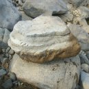 양석농장 이미지