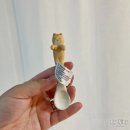 냥이네 하우스 이미지