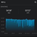 19회 강남하프레이스 하프 마라톤 코스 완주 후기 및 기록