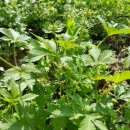 한삼농장 이미지