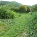 행수농장 이미지