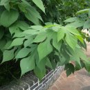 한지체험박물관 이미지