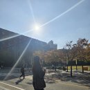 (주)지원크레이티브 | 직장인 대학원 추천 ♪ 광고 홍보대학원 4학차, 일 병행하며 다니는 중앙대 첨단광고PR 후기