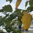 인덕원성모내과의원 이미지