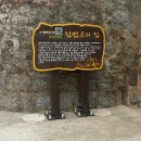 소박한 뜰 이미지