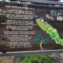 강원도 춘천 산책 : 올미마을 심금솔숲 가볍게 산책하기 좋은 마을길