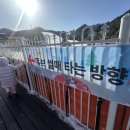 엘리시안강촌눈썰매장 티스토리