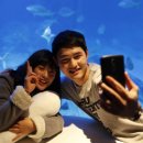 아쿠아플라넷 여수 이미지