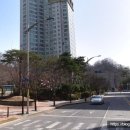 대덕초교도룡분교장 이미지