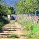 벌교생태공원 운동장 이미지