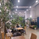 카페알로하 이미지