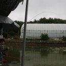 광석낚시터 이미지