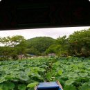 진주 용호정원 이미지