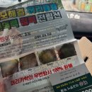 허준 따라쟁이 카페