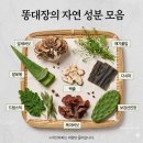 풀잎속의생명 | 식이섬유많은음식 똥대장, 발효식이섬유 숙변제거 완벽