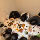 마란트1호텔 | 도보 3분! 과동기들과 우정 여행 숙소, 가성비'마란트 호텔' 내돈내산 후기(짐 보관/어메니티/대학생 여행)