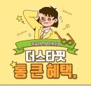 필라스타 이미지