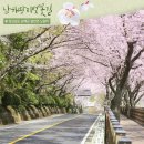 4월4(월)-6(수) / 2박3일 ㅡ보물섬 남해 봄꽃 미각여행 이미지