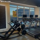 팀식스짐 이미지