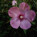 반월호수공원 화장실 이미지