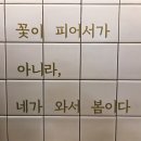 코리아세븐 춘천소양강점 | 헤이춘천 남춘천역 근처 숙소 솔직 투숙 후기(춘천마라톤 숙소 추천)