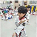 길잡이 태권도 이미지