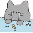 워시마트