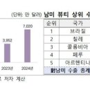 남미화장품