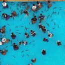 홍천강 둔치 이미지